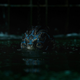 Image for article titled Guillermo del Toro's The Shape of Water Is a Beautiful Love Story Where the Story Doesn't Matter